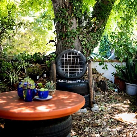 Zoete Inval Hostel Hermanus Kültér fotó