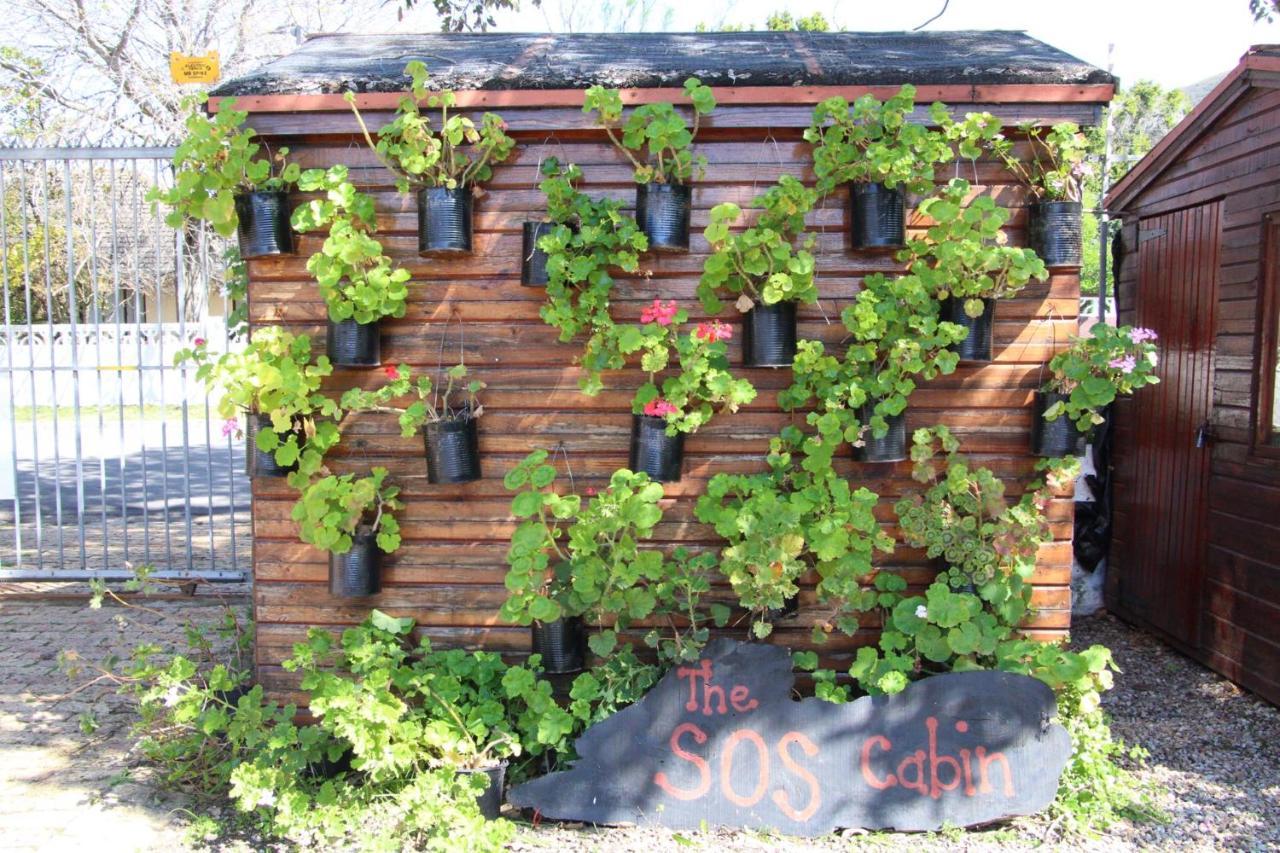 Zoete Inval Hostel Hermanus Kültér fotó