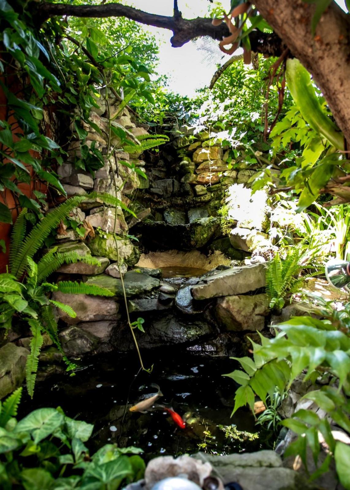Zoete Inval Hostel Hermanus Kültér fotó